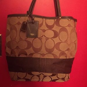 Coach Signature Stripe Bag E06k-10125